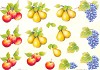 Mireille knipvel A4 Fruit
