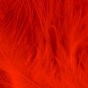 Marabou veren rood