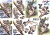 Le Suh knipvel A4 koalabeertjes