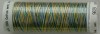 Mettler Silk-Finish Multi kleur 9829