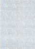 Holografisch papier Unlimited Sky Zilver A4 70 grams 10 vel