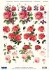 Stansvel A4 rose en rode rozen