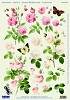 Stansvel A4 wit en rose rozen