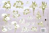 Tierelantijntje knipvel A4  Condoleance Witte Bloemen 