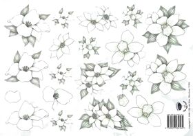 Tierelantijntje knipvel A4  Condoleance Witte Bloemen