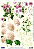 Stansvel A4 Witte en paarse bloemen
