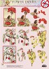 Flower Fairies Uitdrukvel met glitters nr.52