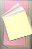 Joy! Enveloppen en kaarten 13,5x27cm. Assorti