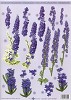 Stansvel A4 Deep Blue Flowers