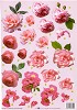 Stansvel A4 Pink Roses