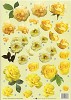 Stansvel A4 Yellow Roses