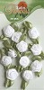 Satin Flowers - Wit