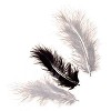 Marabu veertjes 9 cm Zwart-Wit mix 15 stuks 