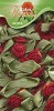 Satin Flowers - Rood