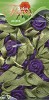 Satin Flowers - Paars