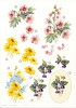 Stansvel A4 Bloemen