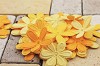E line Flowers Bright yellow