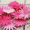 E line Flowers Confetti ceke Bright pink