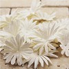 E line Flowers Confetti ceke White