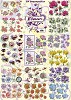 3D Flower Poster