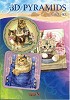 TBZ Pyramides boekje Katten