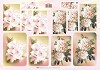 Pyramid Knipvel A4 TBZ bloemen