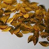 Blaadjespailletten goud