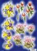 Stansvel Line Bloemen
