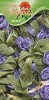 Satin Flowers - Lila