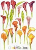 MD Knipvel A5 Bloemen