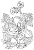 Clearstamps Flower Fairies 5 - stem/STAMPFF05