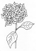 Clearstamps Janneke Brinkman Bloem - stem/STAMPJBS06