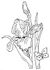 Clearstamps Janneke Brinkman Bloem