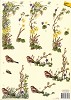 Avec knipvel A4 vogel - sale/4.008.104