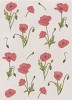 Perkament vellum papier A4 klaproos - sale/P92230