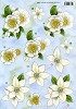 AD knipvel A4 Witte bloemen