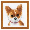 Telpakket Chihuahua  16x16 cm Wit