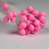 Meeldraden dikke bol roze