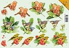 VB Push Out A4 Kerst vogels