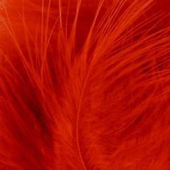Marabou veren roestbruin