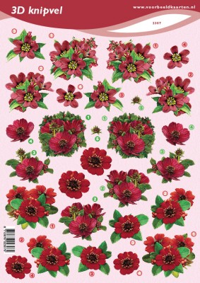 VB knipvel A4 rode bloemen