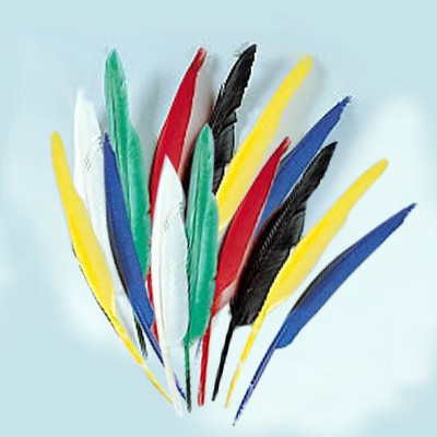 Indianenveren 15-22 cm mix 12 stuks