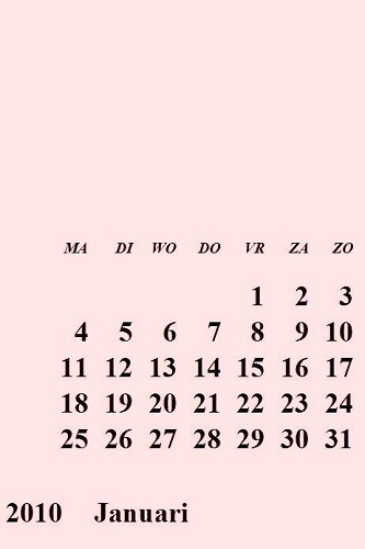 Kalender 2010 A4 12 vel Pastel Rose