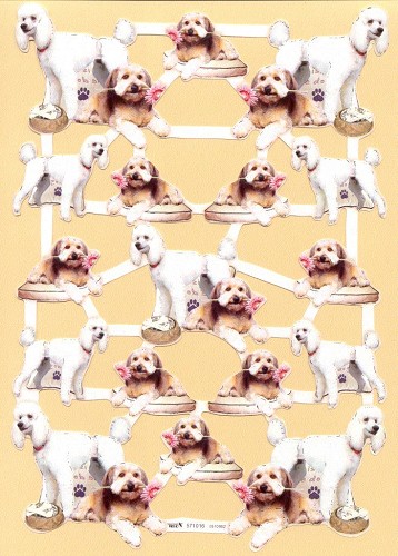 Poezieplaatje A4 Honden