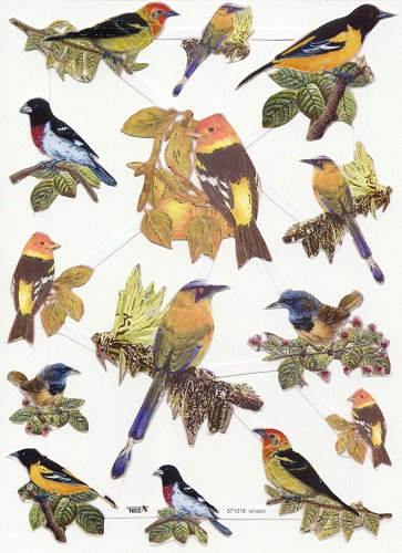 Poezieplaatje A4 Vogels